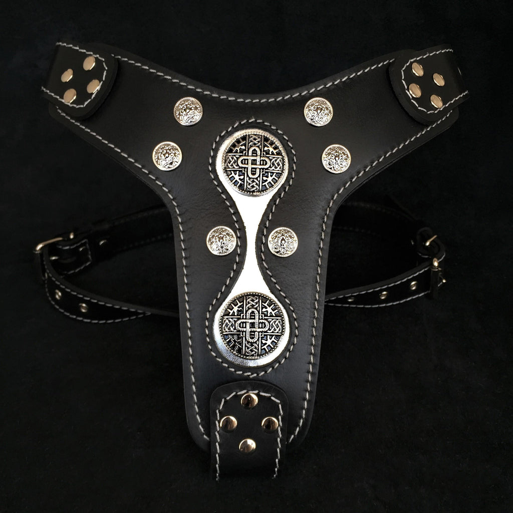 The "Hektor" harness - SJB-DIAMOND ELITES