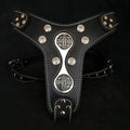 The "Hektor" harness - SJB-DIAMOND ELITES