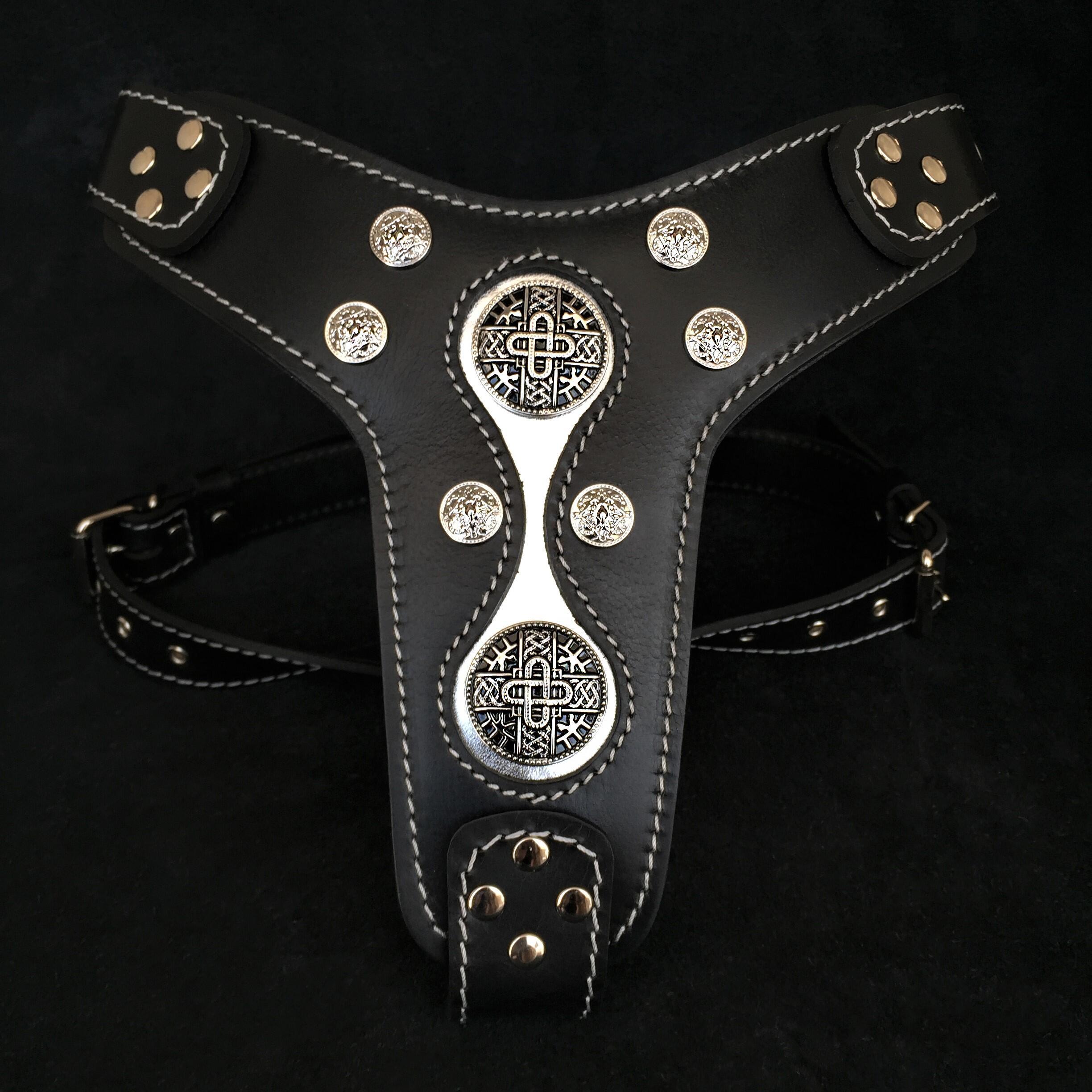 The "Hektor" harness - SJB-DIAMOND ELITES