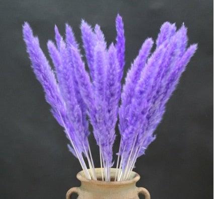 Home Store Wedding Bulrush Natural Dried Flowers Small Pampas Grass Phragmites Communis Decoration for Floor Vase Filler for Living Room Kitchen Decor Stevvex