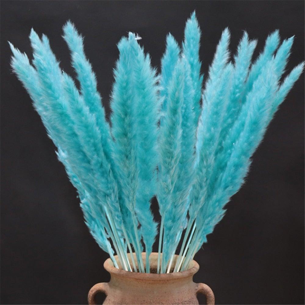Home Store Wedding Bulrush Natural Dried Flowers Small Pampas Grass Phragmites Communis Decoration for Floor Vase Filler for Living Room Kitchen Decor Stevvex