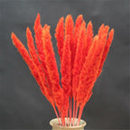 Home Store Wedding Bulrush Natural Dried Flowers Small Pampas Grass Phragmites Communis Decoration for Floor Vase Filler for Living Room Kitchen Decor Stevvex