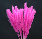 Home Store Wedding Bulrush Natural Dried Flowers Small Pampas Grass Phragmites Communis Decoration for Floor Vase Filler for Living Room Kitchen Decor Stevvex