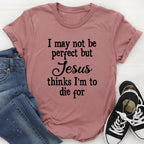 I May Not Be Perfect Tee - SJB-DIAMOND ELITES