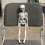 Realistic Skeleton Model