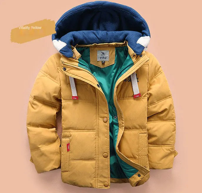 Boys' Cotton and Down Jackets Pi-Mart