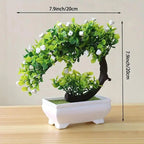 Small Bonsai Tree Pi-Mart
