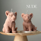 Cute Lion Candle Lootquake LLC