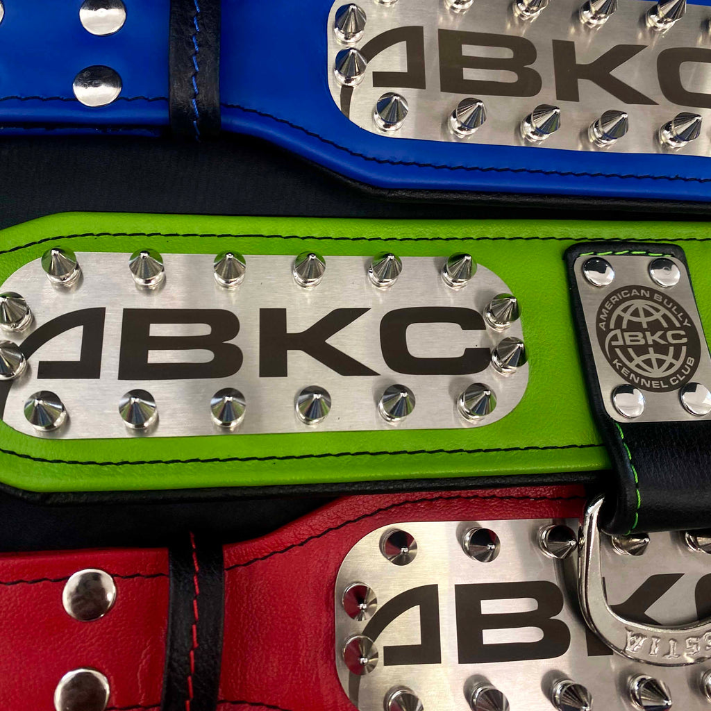 The ABKC Collar - SJB-DIAMOND ELITES