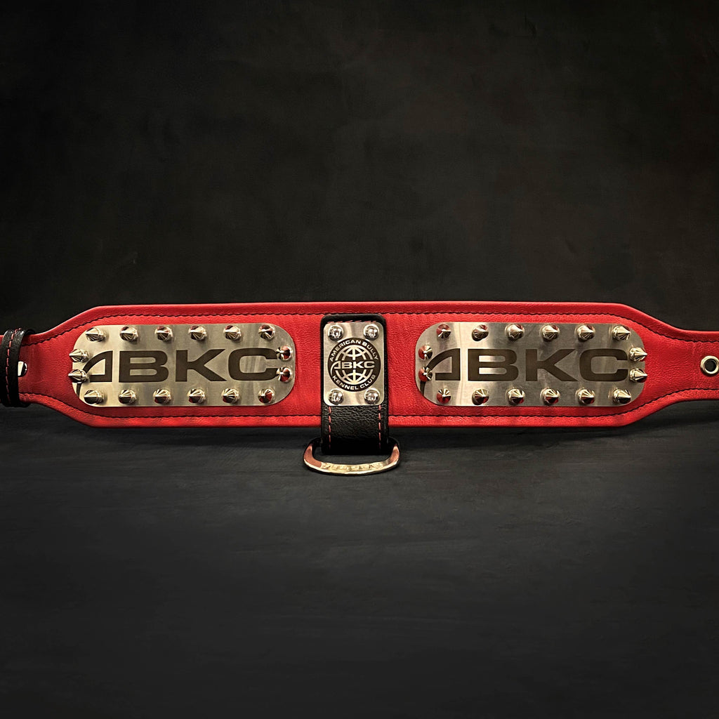 The ABKC Collar - SJB-DIAMOND ELITES