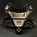 The "Metal" harness small to medium size - Personalized Bestia Dog Gear