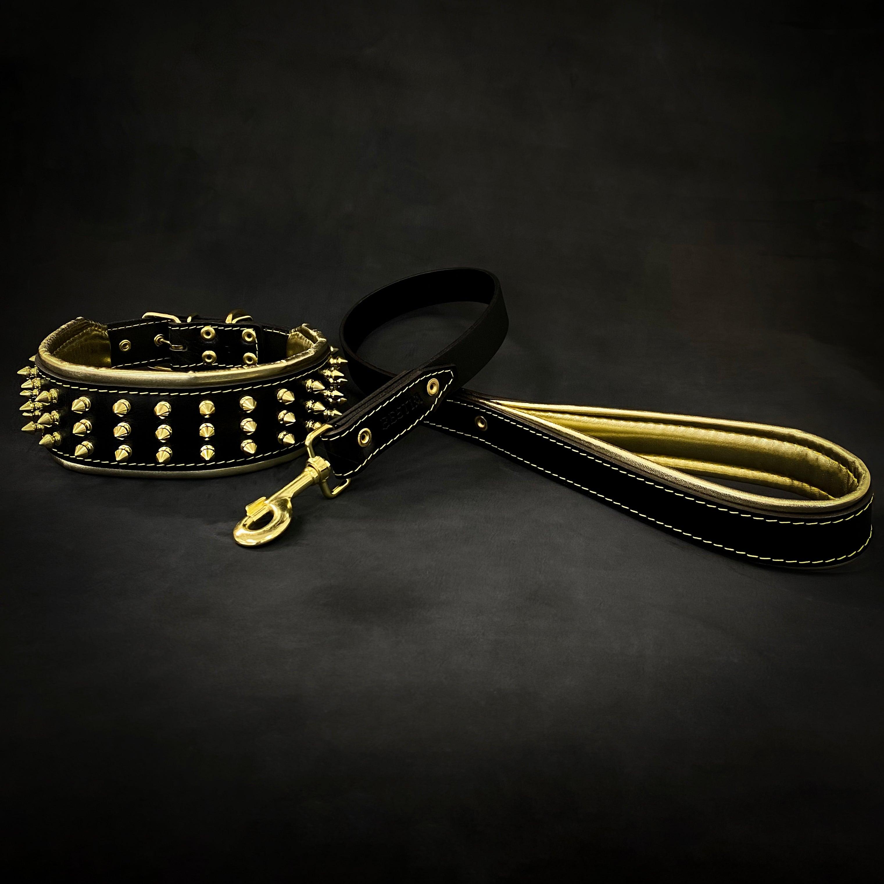 The "Gold Giant" collar Bestia Dog Gear
