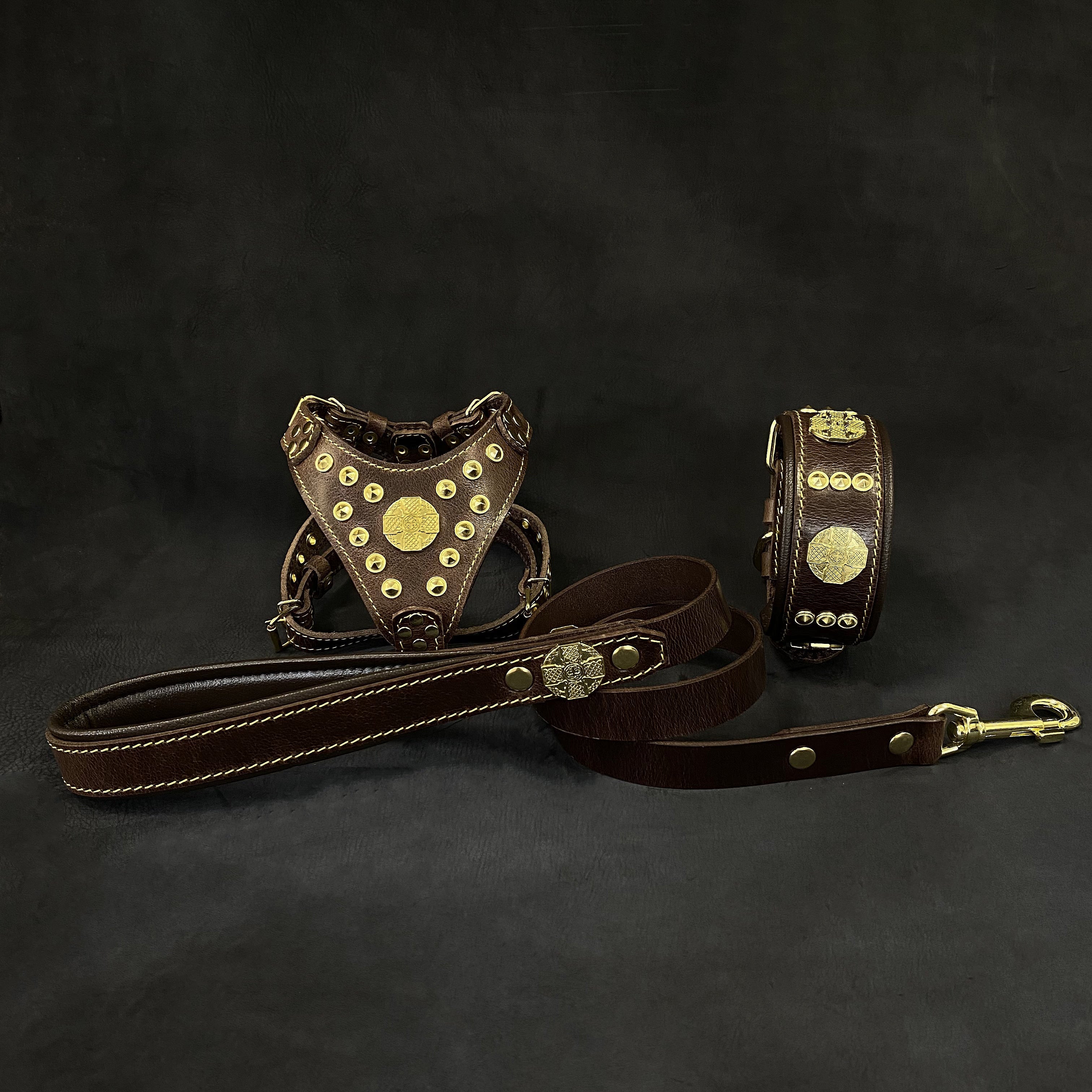 "Maximus Brown&Gold" Small dog SET - Harness - collar - lead - SJB-DIAMOND ELITES