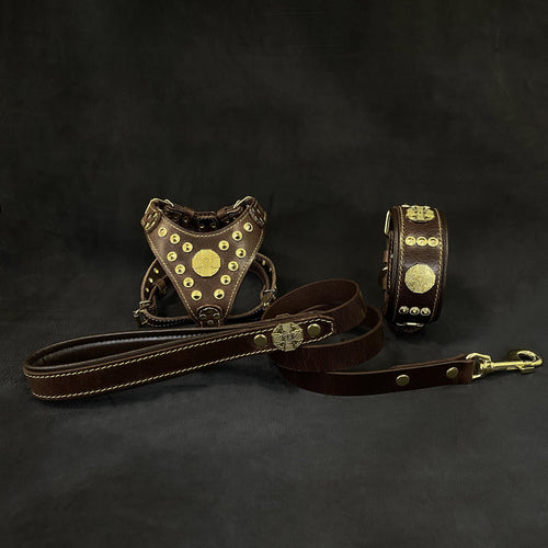 "Maximus Brown&Gold" Small dog SET - Harness - collar - lead - SJB-DIAMOND ELITES