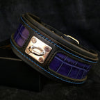 The "Reptile" collar Bestia Dog Gear