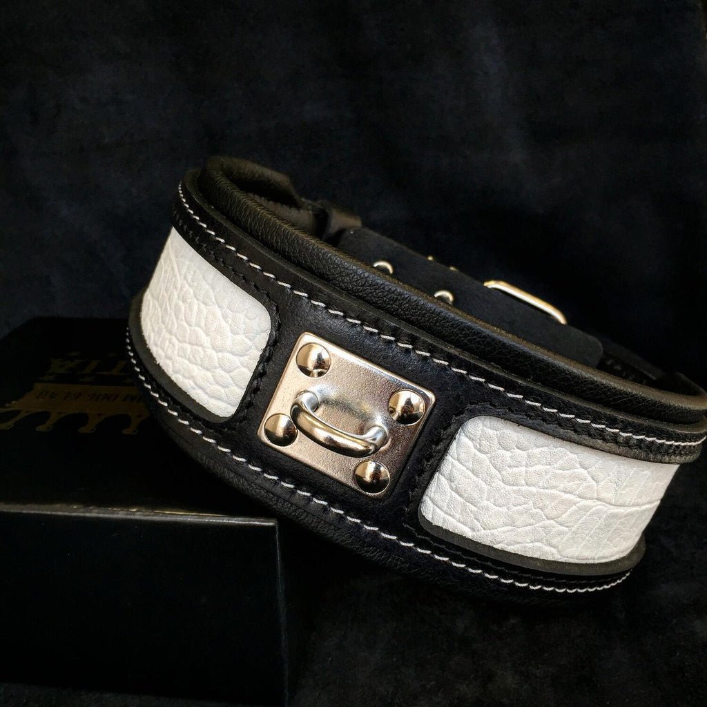 The "Reptile" collar Bestia Dog Gear
