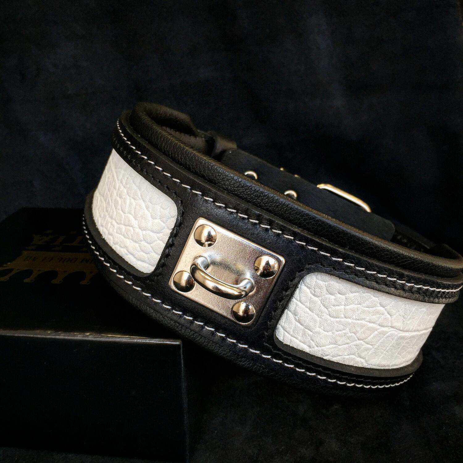 The "Reptile" collar Bestia Dog Gear