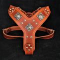 The "Eros" harness brown Bestia Dog Gear