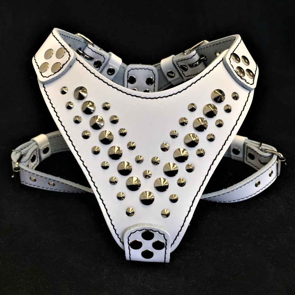 ''Star'' Harness Small to Medium size - SJB-DIAMOND ELITES