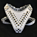 ''Star'' Harness Small to Medium size - SJB-DIAMOND ELITES