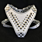 ''Star'' Harness Small to Medium size - SJB-DIAMOND ELITES