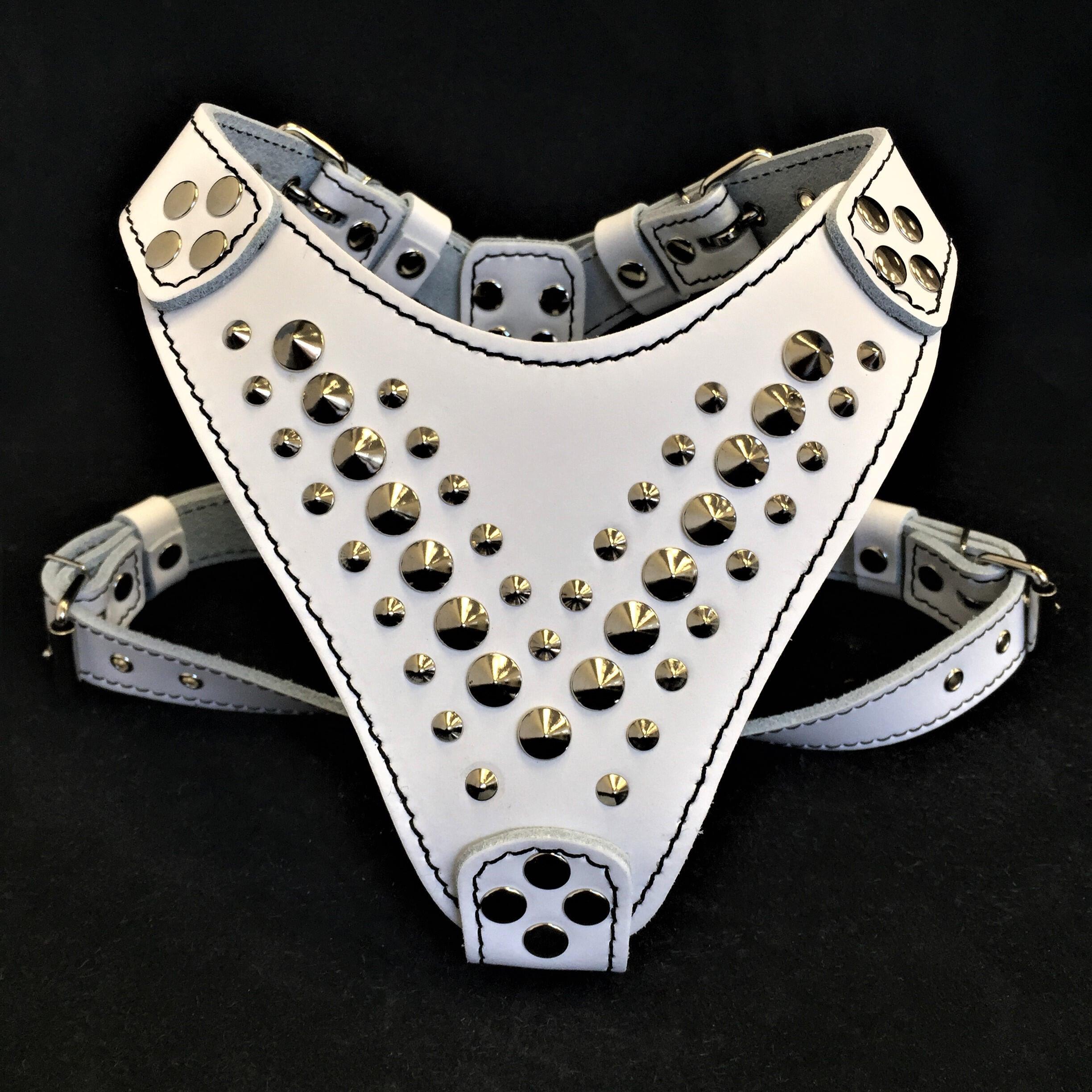 ''Star'' Harness Small to Medium size - SJB-DIAMOND ELITES