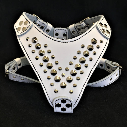 ''Star'' Harness Small to Medium size - SJB-DIAMOND ELITES