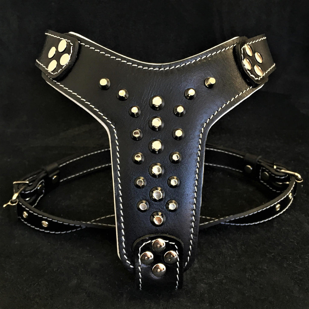 The "Rocky" studded leather harness Small to Medium Size - SJB-DIAMOND ELITES