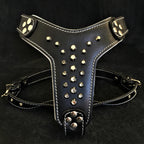 The "Rocky" studded leather harness Small to Medium Size - SJB-DIAMOND ELITES