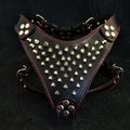 ''Frenchie'' studded leather harness Small to Medium Size - SJB-DIAMOND ELITES