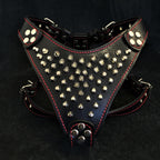 ''Frenchie'' studded leather harness Small to Medium Size - SJB-DIAMOND ELITES