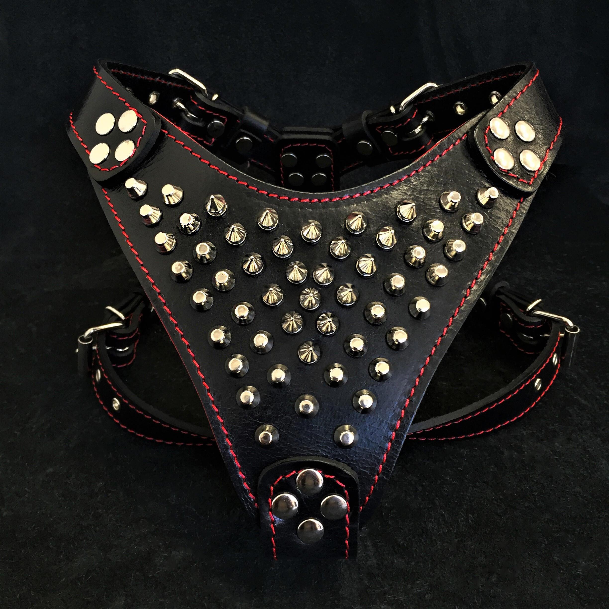 ''Frenchie'' studded leather harness Small to Medium Size - SJB-DIAMOND ELITES