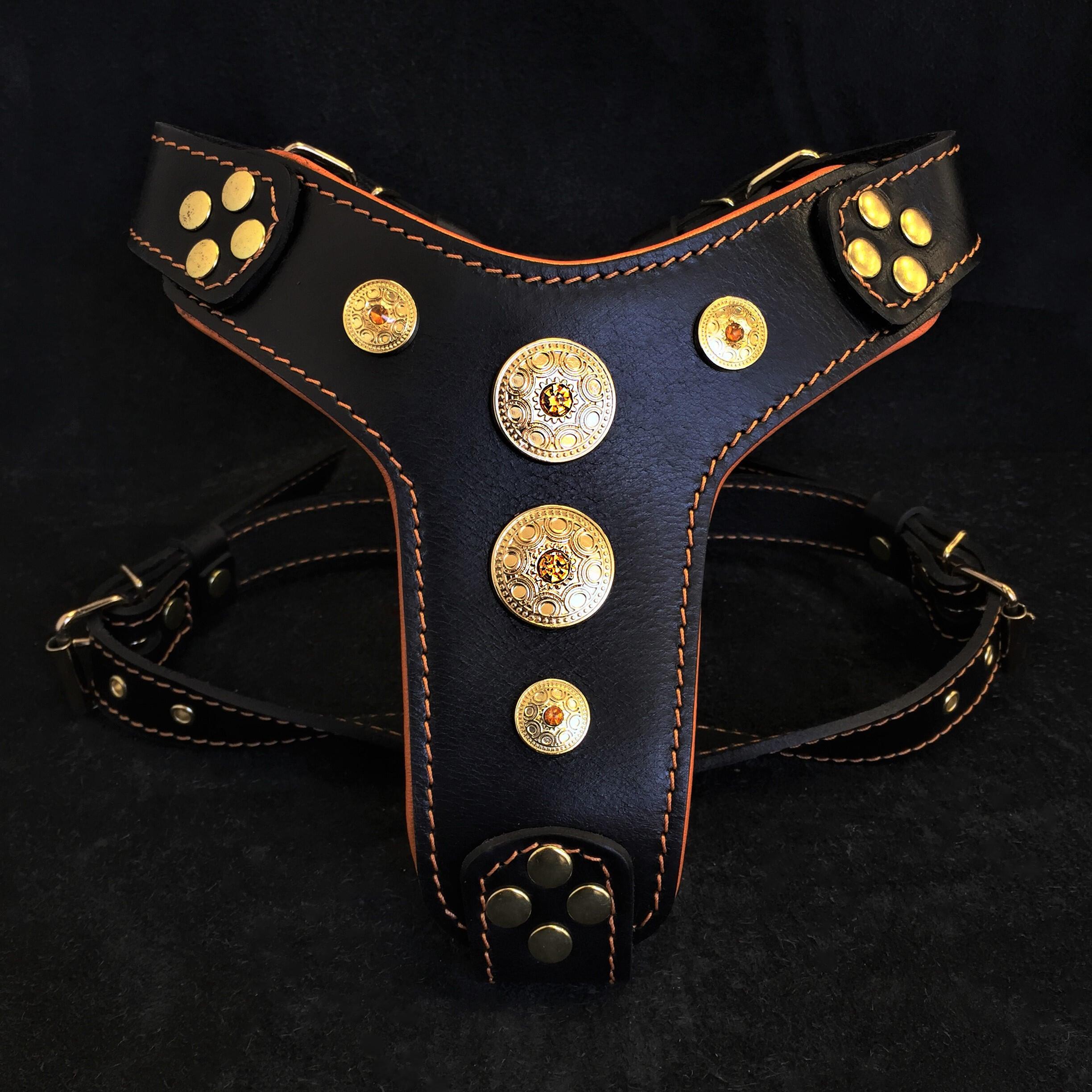 The ''Bijou'' harness Black & Orange Small to Medium Size - SJB-DIAMOND ELITES