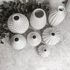 Imperfect Whitney Vases Slightly Damaged Discounted Ceramic Tabletop Vases BandsCo Straps