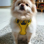 Breathable Dog Harness Pi-Mart