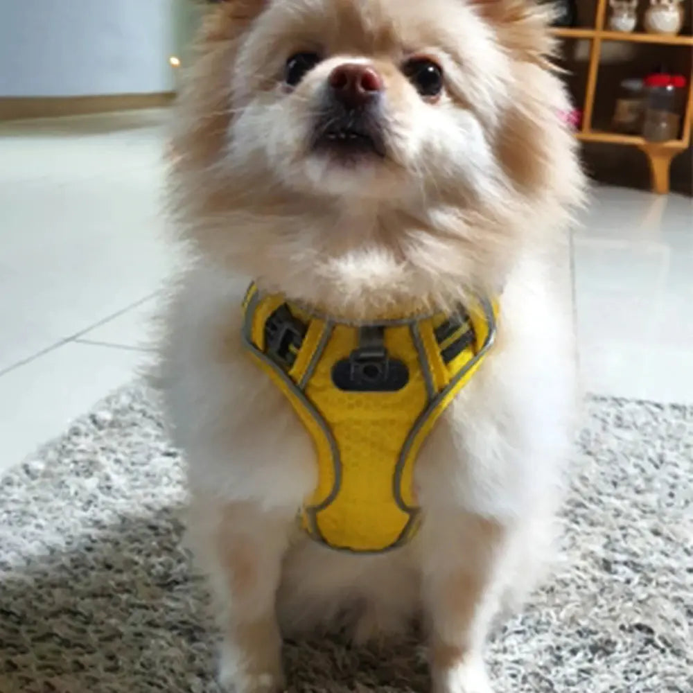 Breathable Dog Harness Pi-Mart