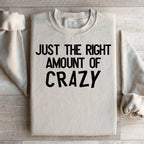Just The Right Amount Of Crazy Sweatshirt