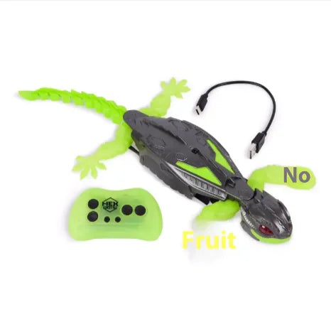 Wall Climbing Remote Control Car Pi-Mart