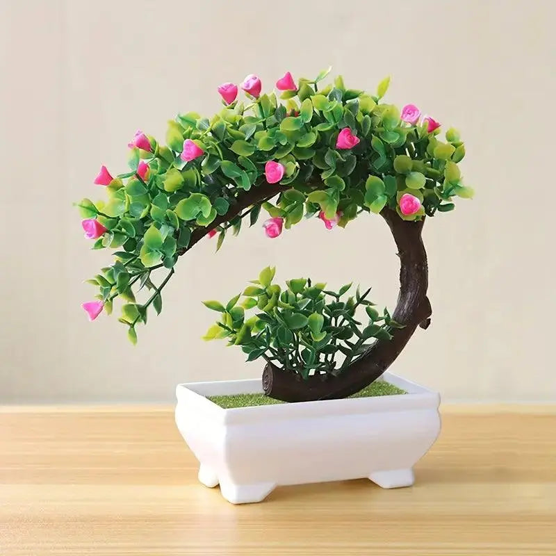 Small Bonsai Tree Pi-Mart