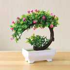 Small Bonsai Tree Pi-Mart