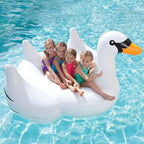Inflatable Swimming Pool Float Pi-Mart