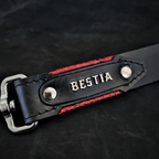 The ''Red Dragon'' leash - SJB-DIAMOND ELITES