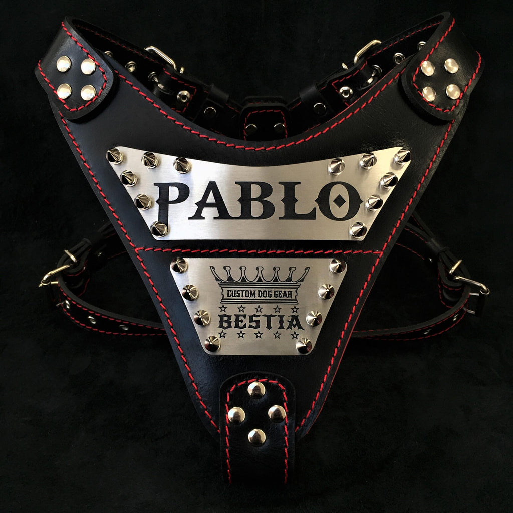 The "Metal" harness- Personalized! Bestia Dog Gear