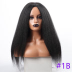 Long Kinky Straight Synthetic Wigs for Black Women