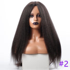 Long Kinky Straight Synthetic Wigs for Black Women