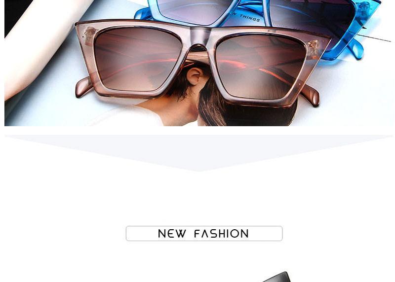 Luxury Design Sunglasses For Women Square Shape Glasses For  Women New Popular Retro Design Eyewear For Women/Men Design Sunglasses Stevvex