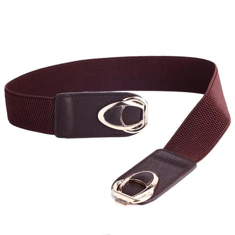 Luxury Elastic PU Leather Wide Belts For Women Fashion Stretchy Thick Waist Dress Plus Size Waistbands For Women Stevvex