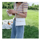 Luxury Snow White Crossbody Bags For Women And Girls Small PU Leather Handbag - Ladies Designer Evening Bags Stevvex
