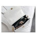 Luxury Snow White Crossbody Bags For Women And Girls Small PU Leather Handbag - Ladies Designer Evening Bags Stevvex