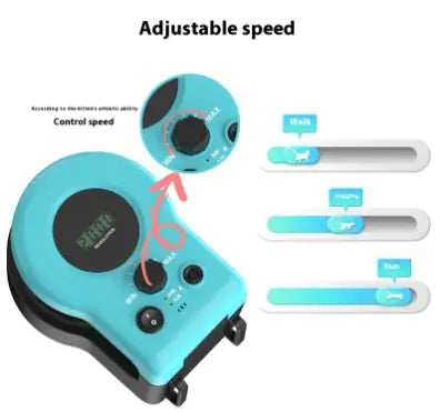 Active Cat Fun Toy